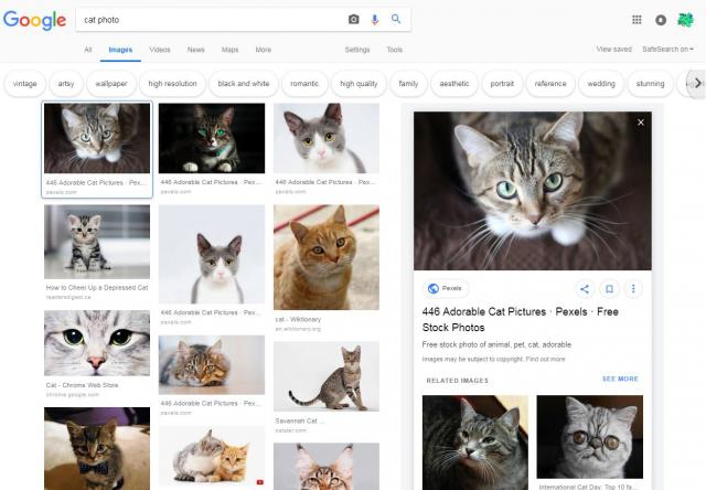 google-images-preview-test